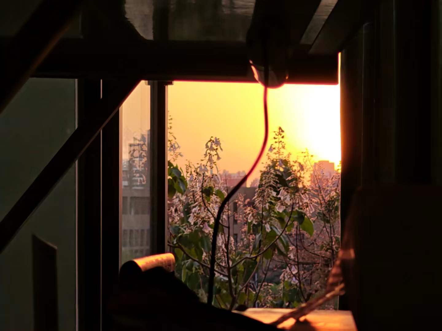 夕阳